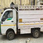 Dolphin Transport Services